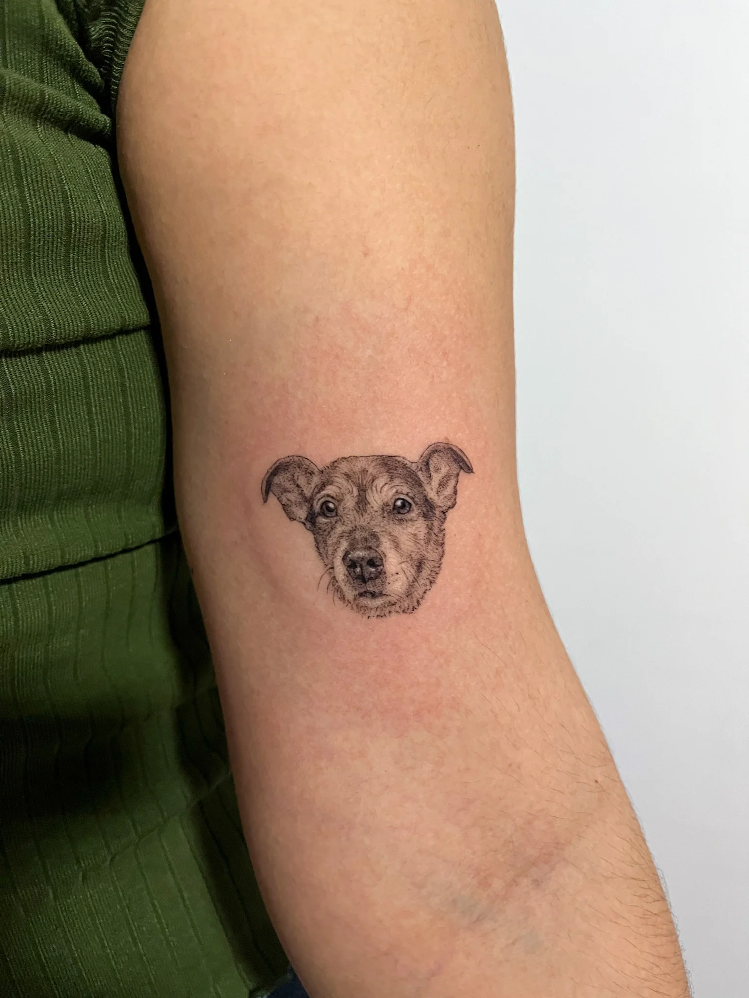 Retrato de perro realizado con un enfoque realista y atención a los rasgos principales.