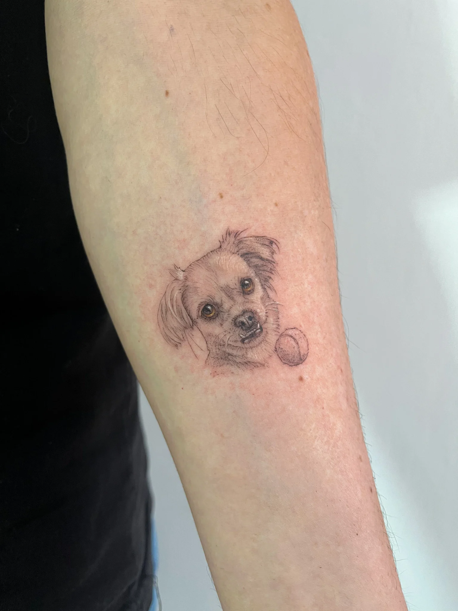 Trabajo de realismo de mascota realizado por Natika Tattoo en Lima.